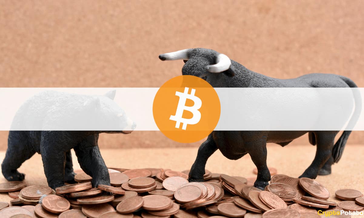 Der Crypto Bull Run hat möglicherweise bereits begonnen, sagt der CEO von One River