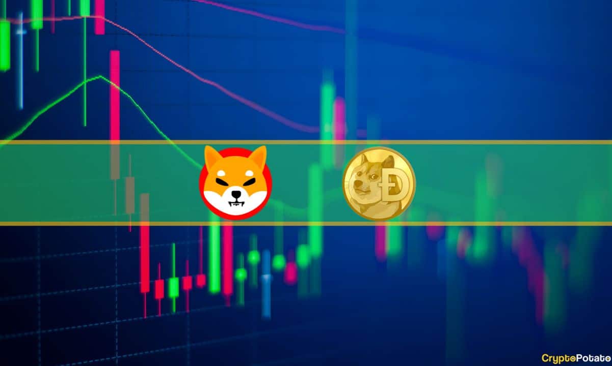 Dogecoin steigt um 9 %, Shiba Inu um 5 %