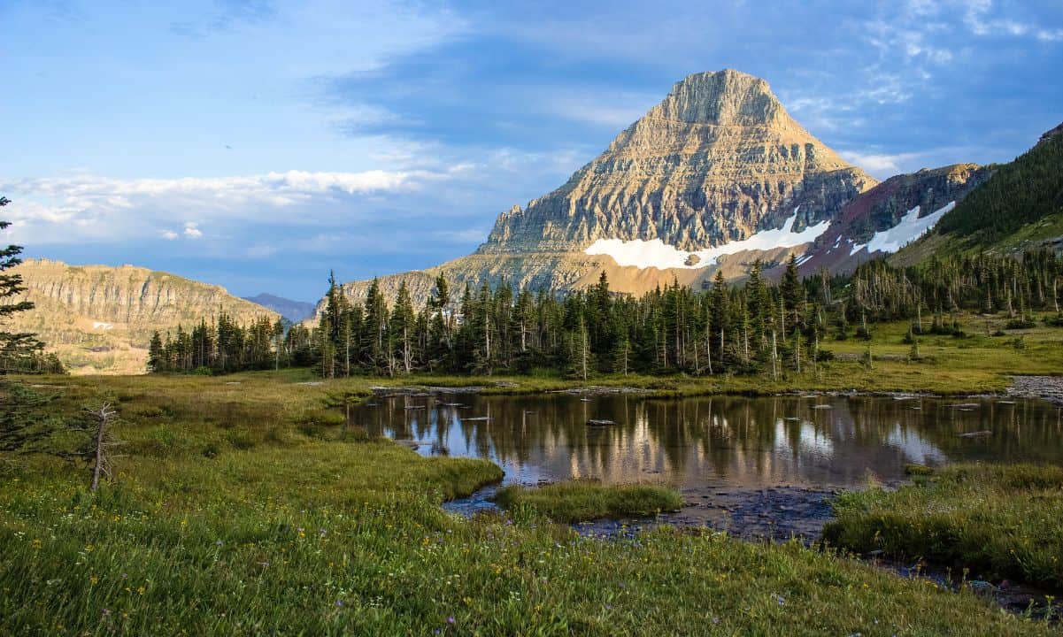 Montana Bill zur Klassifizierung von Krypto als persönliches Eigentum, genehmigt vom House of Reps