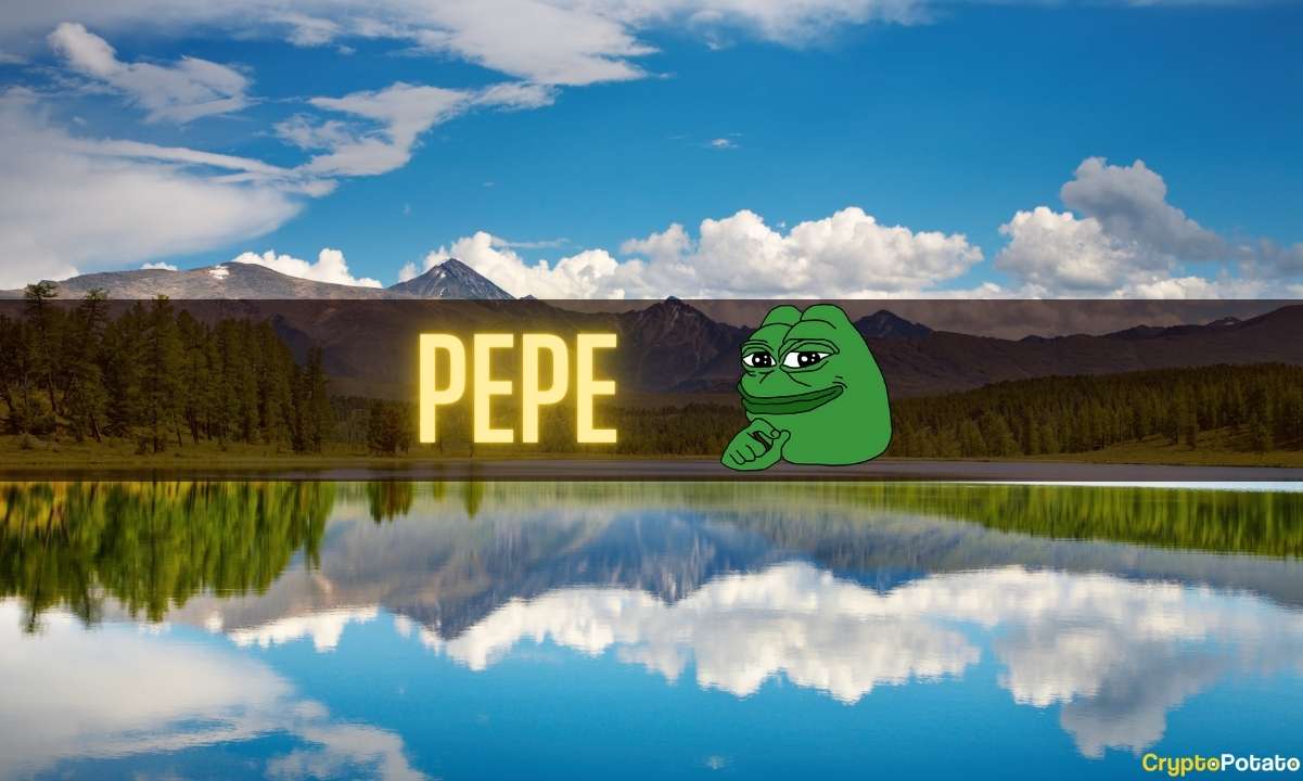 Was ist PEPE?  Ist das die nächste große Memecoin?