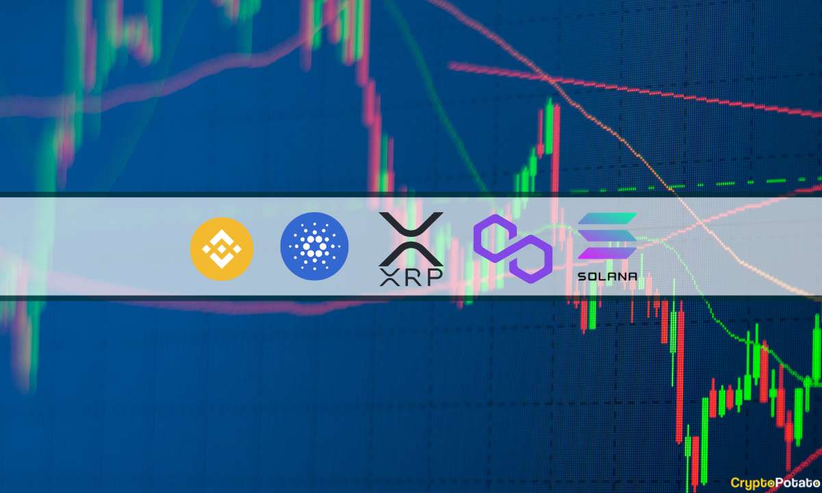 XRP, ADA, BNB, SOL und MATIC