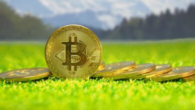 Tschechischer Zentralbanker skeptisch gegenüber der Rolle von Bitcoin in Reserven