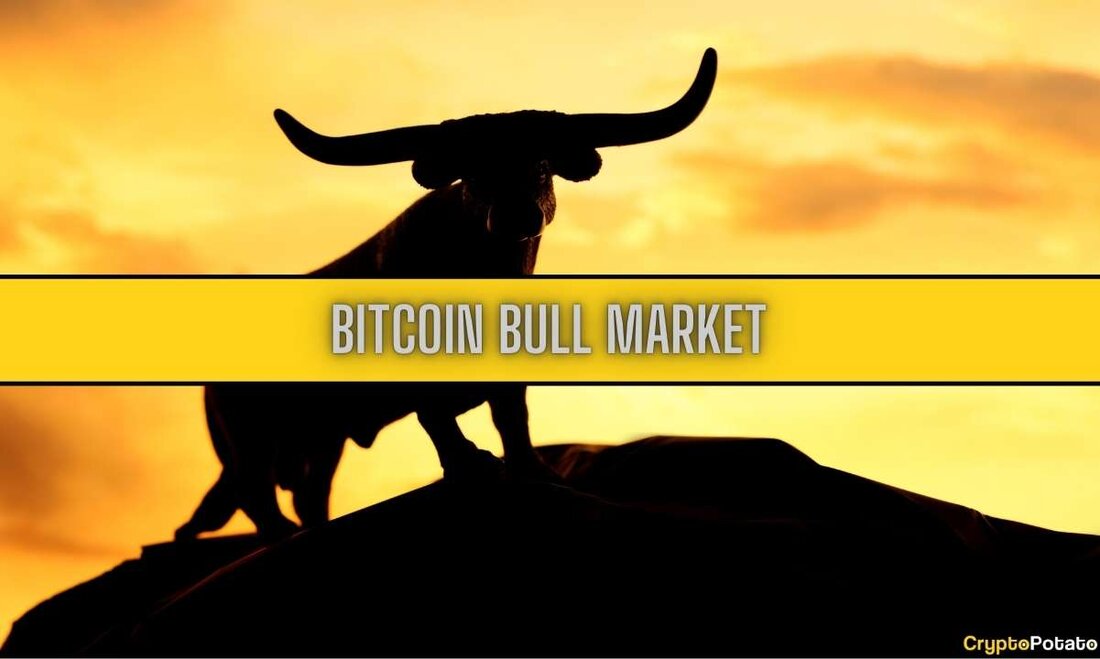 Bitcoin-Bullenmärkte zeichnen sich typischerweise durch enorme Preisschwankungen aus, und obwohl die Richtung nach oben zeigt, finden auch Korrekturen statt. Während des letzten Bitcoin-Bullenmarktes im Jahr 2021 erreichte der BTC-Preis ein Allzeithoch von knapp 70.000 US-Dollar. Zu Beginn des Jahres lag der Kurs bei rund 20.000 US-Dollar, explodierte mehrmals über 60.000 US-Dollar, fiel zur Jahresmitte um fast 50 % und schoss im November erneut in die Höhe, um fast 70.000 US-Dollar zu erreichen. CoinGecko Der vorherige Bullenmarkt fand im Jahr 2017 und Anfang 2018 statt. Bitcoin hatte einen Höchststand von rund 20.000 US-Dollar erreicht, aber sein Chart sah ganz anders aus: …
