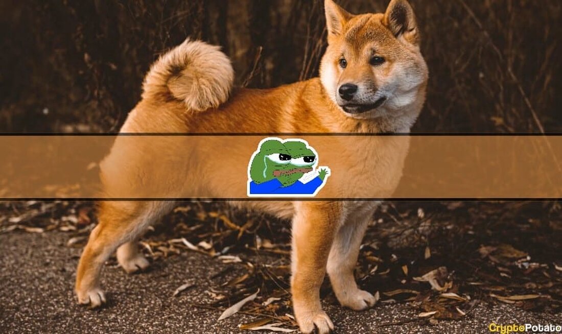 Meme-Coins hatten einen nachhaltigen Einfluss auf den Kryptowährungsmarkt, da sie in der Kryptokultur verankert und zu einem untrennbaren Bestandteil der Branche geworden sind. Anscheinend begann alles mit dem Pionier Dogecoin (DOGE) im Jahr 2013, als Jackson Palmer und Billy Marcus das Protokoll auf den Markt brachten und damit einen Unterbereich der Kryptowährung hervorbrachten, der zu den explosivsten überhaupt gehören sollte. PEPE coin scheint die neueste nennenswerte Iteration des Memes zu sein coin Trend und eroberte auch den Markt im Sturm. Die Kryptowährung stieg in weniger als ein paar Wochen von praktisch Null auf eine Marktkapitalisierung von fast 2 Milliarden US-Dollar …