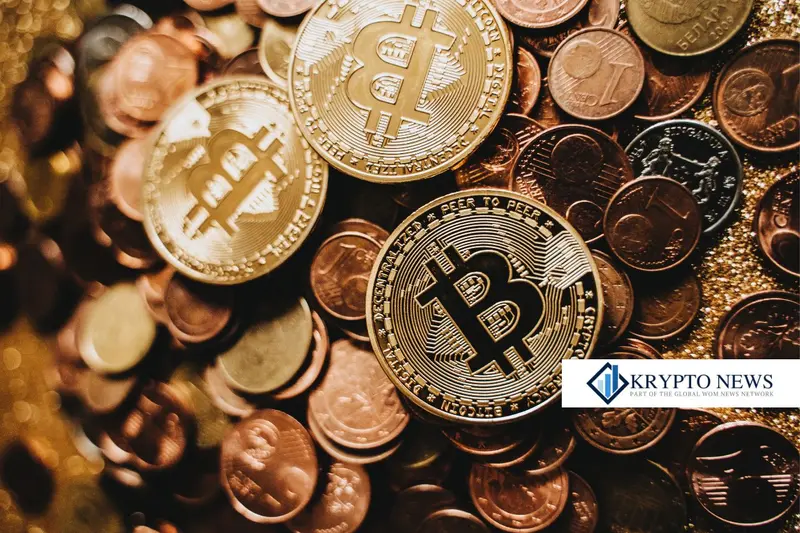 „Niedrigere On-Ramping-Gebühren und einfacher Zugang: Schlüssel zur Massenakzeptanz von Stablecoins“