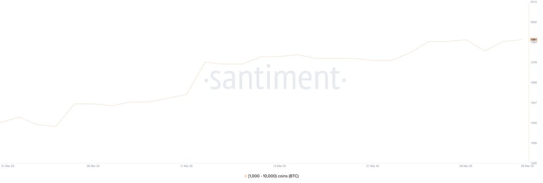 Aktuelle Entwicklungen bei Bitcoin (BTC): Marktupdate und technische Analyse Seit dem 7. März 2023 wird Bitcoin (BTC) unter der 90.000-USD-Marke gehandelt. Der Kryptomarkt zeigt derzeit Anzeichen einer veränderten Stimmung, doch Bitcoin kämpft weiterhin darum, wieder Aufwärtsdynamik zu gewinnen. Trotz eines potenziellen Rückschlags deuten technische Indikatoren wie die Ichimoku-Wolke und die EMA-Linien darauf hin, dass der Trend weiterhin bärisch bleibt. Anstieg der Bitcoin-Wale auf einem 3-Monats-Hoch In den letzten Wochen ist die Anzahl der Bitcoin-Wale—Wallets, die mindestens 1.000 BTC halten—stetig gestiegen. Am 22. März 2023 gab es 1.980 solcher Adressen, und diese Zahl ist mittlerweile auf 1.991 gestiegen. Auch wenn dieser …