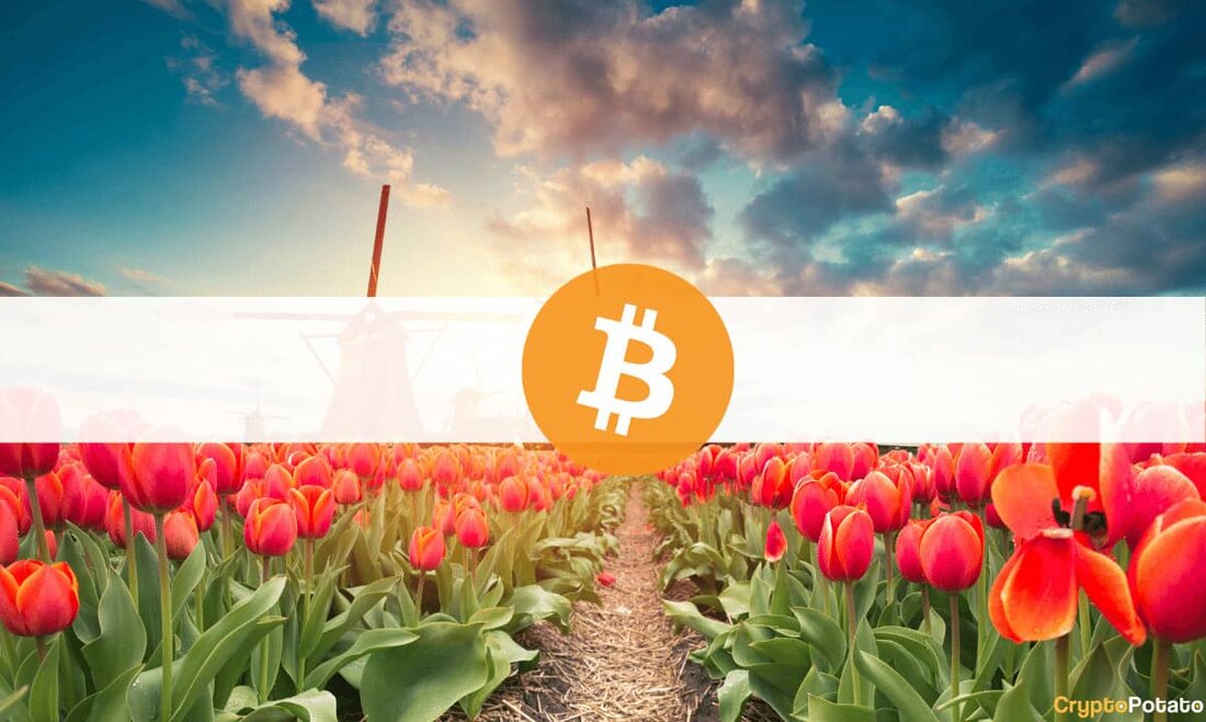 Laut den Untersuchungen von Dua Crypto sind die Niederlande die am meisten interessierte europäische Nation für Kryptowährungen. Russland (wo die lokale Zentralbank die Anlageklasse überwiegend negativ bewertet) steht ganz unten auf der Liste. Bitcoin (BTC) ist in den meisten Ländern die beliebteste digitale Währung, während Dogecoin (DOGE) an zweiter Stelle steht. Die Holländer haben die Spitze erreicht Die Studie schätzte, dass die Einwohner der Niederlande die höchste Anzahl an kryptobezogenen Suchanfragen pro Kopf durchgeführt hatten (0,1299). Der führende digitale Vermögenswert nach Marktkapitalisierung – Bitcoin – ist der Favorit der Einheimischen, während die beliebte Memecoin – Dogecoin – und Cardano jeweils &hellip;