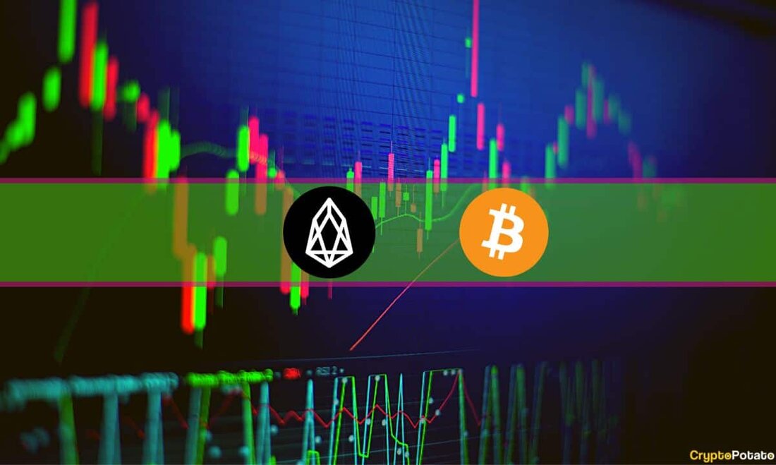 Der massive Absturz von Bitcoin am Freitag trieb ihn nach Süden auf knapp 22.000 $ und markierte damit den niedrigsten Preis seit dem 14. Februar. Die Altcoins erlebten eine ähnlich erhöhte Volatilität, aber die meisten haben sich seitdem beruhigt. Ripple’s XRP und EOS gehören zu den wenigen Alternativen mit bemerkenswerten Zuwächsen. Bitcoin rutschte unter 22.000 $ Trotz der steigenden Volatilität Ende Februar konnte Bitcoin den Monat mit einem leichten Plus abschließen und notierte bei rund 23.000 $. In den ersten Märztagen gab es einen Preisschub in Richtung 24.000 $, der jedoch gestoppt wurde. Als solches ging BTC bis Freitag auf …