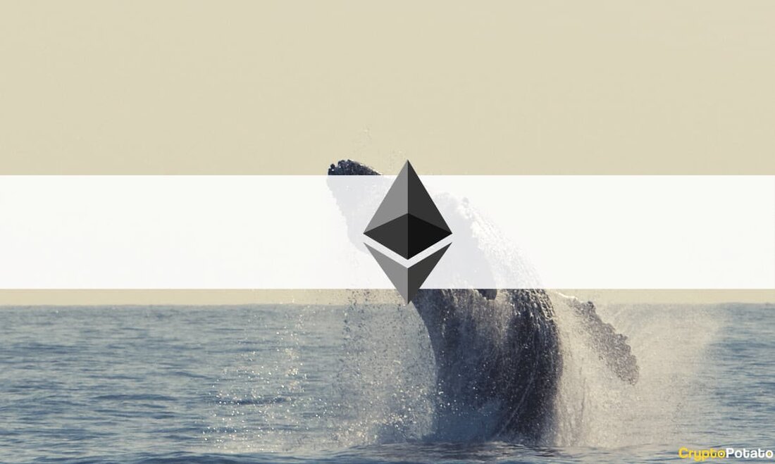 Eine Brieftasche, die an der Initiale von Ethereum teilgenommen hat coin Angebot (ICO) im Jahr 2016, das seitdem ruhte, ist nach sieben Jahren und sieben Monaten endlich aufgewacht. Laut a twittern von der On-Chain-Analysefirma Lookonchain übertrug die Adresse vor etwa 13 Stunden einen Ether (ETH) an eine neue Adresse und markierte damit ihre erste Transaktion. Die Krypto-Community spekuliert, dass es sich um eine Testtransaktion handelt. Das ICO-Wallet hat jedoch seitdem keine weiteren Transaktionen mehr durchgeführt. Zum Zeitpunkt des ICO erhielt das Wallet 2.365 ETH im Wert von rund 733,51 $, da der Token-Verkaufspreis 0,311 $ betrug. Die Vermögenswerte sind jedoch &hellip;