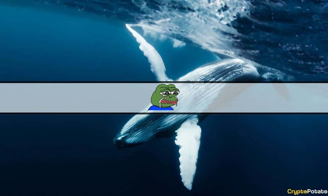 PEPE coin Wale haben bessere Tage gesehen, da die Kryptowährung in den letzten 24 Stunden weitere 9 % verloren hat. Einige der größeren Investoren geben auf und verkaufen mit erheblichem Verlust. Daten aus der beliebten On-Chain-Analyseressource Lookonchain ergab, dass mindestens zwei Wale erhebliche Verluste erleiden. Eine davon ist eine Adresse mit der Endung 0x4614, die heute insgesamt 375,8 Milliarden PEPE mit einem Verlust von 142.000 US-Dollar (im Wert von etwa 76 ETH) verkaufte. Ein anderer Wal verkaufte rund 257 Milliarden PEPE (im Wert von 306.000 US-Dollar) mit einem Verlust von etwa 35.000 US-Dollar. Wale/SmartMoneys verkaufen sich $PEPE. Ein Wal deponierte …