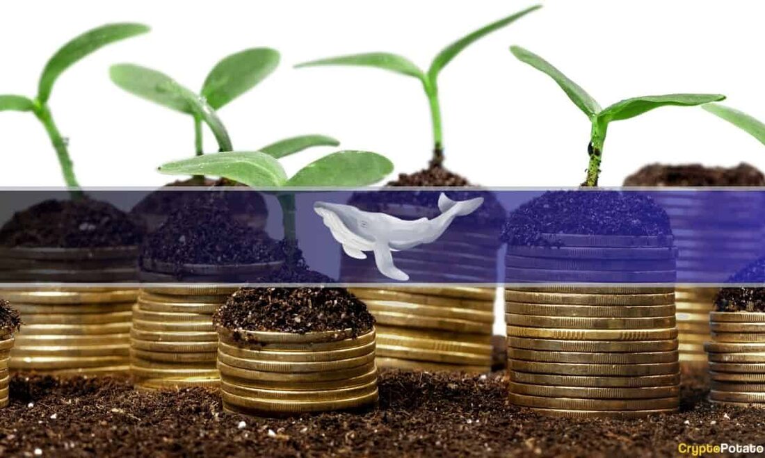 Der On-Chain-Analyst und Whale-Tracker Nova hat einen profitablen Durchschnittshändler entdeckt, der innerhalb von fünf Monaten zu einem Wal wurde. Die besagte Wallet 0x*************121F760e, die seit Januar jeden Trade „genagelt“ hat, kann einen Rekord von mehr als 10.000 % realisiertem Gewinn vorweisen. Nova stellte fest, dass der Erfolg des Wals auf guten Handelsstrategien und nicht auf Glück beruhte, da sie jeden Gewinn und Verlust ordnungsgemäß verwaltet hatten. Vom durchschnittlichen Händler zum Wal Laut Nova Twitter-ThreadDer anonyme Händler hebt sich von anderen dadurch ab, dass seine Gewinne realisiert werden. Der Kryptoanalyst nannte den Händler einen „echten Alpha“ und lobte ihn dafür, dass …