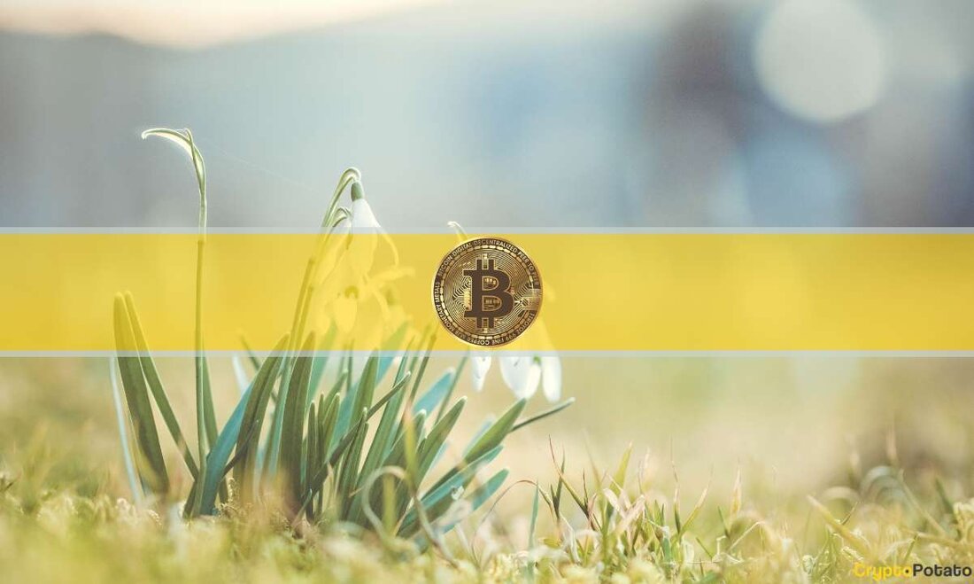Es ist April, und der Bitcoin-Preis bewegt sich seit dem 23. März um die 28.000-Dollar-Marke. Das ist eine rasante Preisrallye, nachdem er im März bei 23.500 Dollar begonnen hat. Bitcoin startete mit mageren 17.000 $ in das neue Jahr. Die Frage für Krypto-Investoren und -Händler ist nun, ob BTC zu diesem Preis teuer aussieht oder für eine weitere Aufwärtsbewegung im nächsten Quartal oder den Rest des Jahres bereit ist. Zwei schnelle kurzfristige Preisfaktoren Ein zinsbullischer Hinweis ist, dass die Königskrypto nun auf einen Monat mit historisch starken saisonalen Kursgewinnen zusteuert. In den letzten 10 Jahren verzeichnete BTC laut einer Überprüfung &hellip;