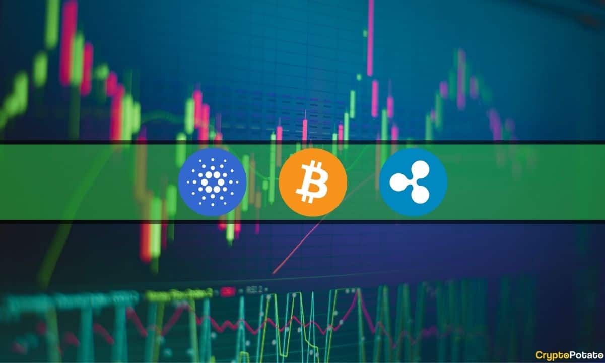 XRP, ADA explodieren zweistellig, Bitcoin stabil bei 28.000 $: Marktbeobachtung