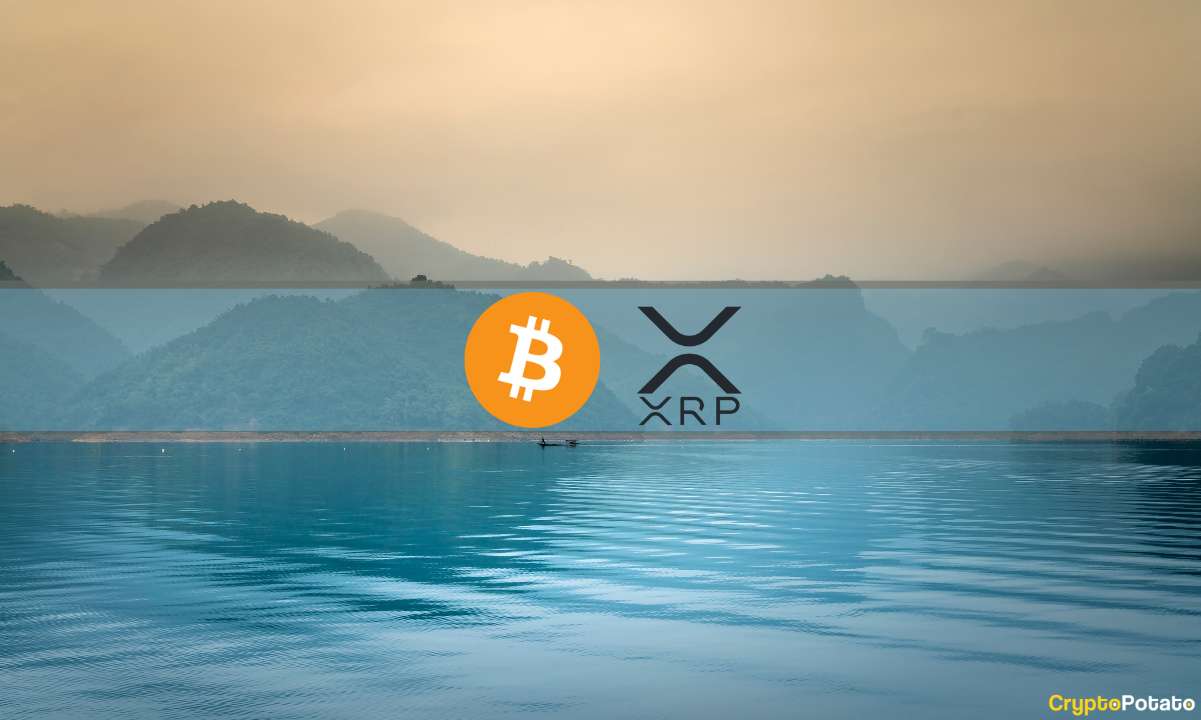 Die XRP-Rallye kühlt ab, MicroStrategy kauft mehr BTC, der Markt beruhigt sich: Der Krypto-Rückblick dieser Woche