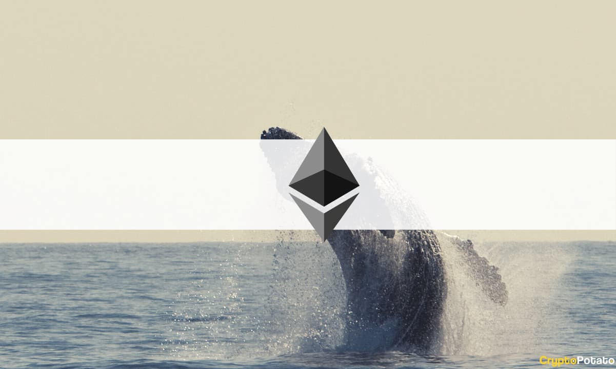 Ethereum ICO-Teilnehmer wacht nach 8 Jahren auf bis zu 4,42 Millionen Dollar in ETH auf