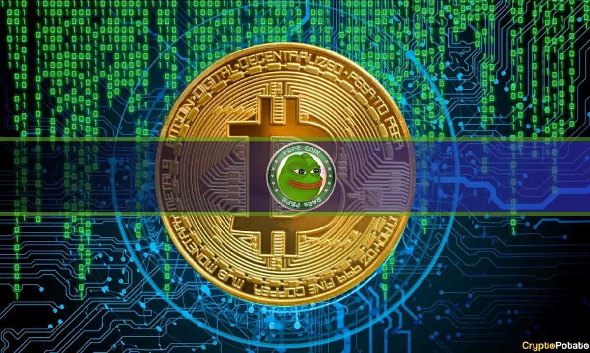 Bitcoin Frog ist der meistverkaufte NFT seit 24 Stunden, während BTC Pepe Mania einfängt