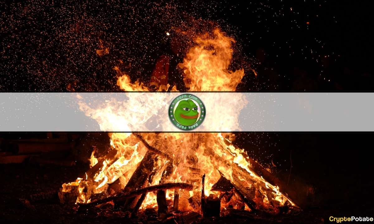 PEPEs Crash and Burn, Bitcoin stürzt auf 26.000 US-Dollar, Kryptomärkte im freien Fall: Die Zusammenfassung dieser Woche