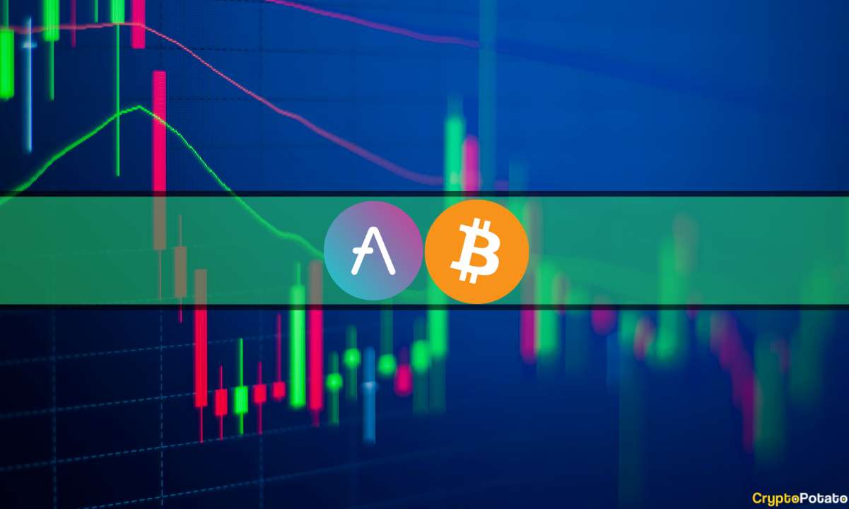 AAVE explodiert täglich um 25 %, ETH steigt über 1,9.000 $ (Market Watch)