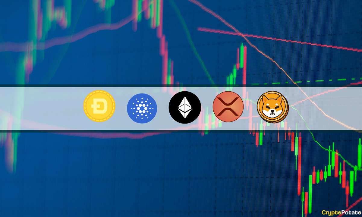 ETH, XRP, ADA, DOGE und SHIB