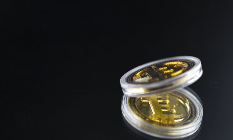 Chimpzee: Das grüne Krypto-Projekt mit philanthropischen Meilensteinen 1 Green Crypto Chimpzee Raises $890,000 From Global Investors
