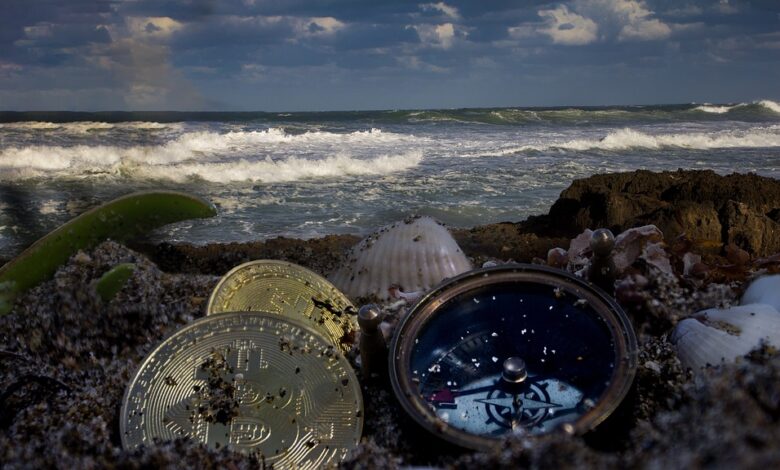 Kostenlose Teilnahme am Crypto Whale Pumps: Ein Sprungbrett zu enormen Gewinnen 1 New Crypto Signals Provider Crypto Whale Pumps Launches, Finding Coins Before They Trend